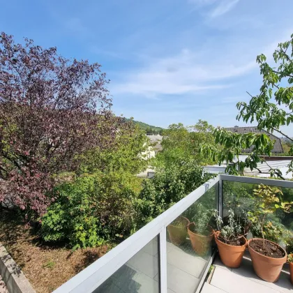 Familienwohnung mit Terrasse, Garten und Garage in Neustift am Walde - Bild 2